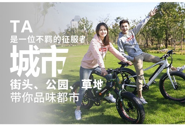 火爆白菜价 主流国标电动车TOP5你选谁 