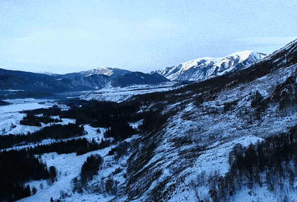 壁纸 风景 590_402 gif 动态图 动图