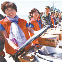 长岛有个不成文的约定，第一网鲅鱼送给解放军