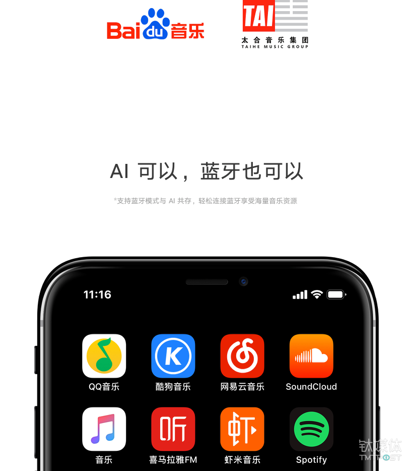 Raven H 支持的内容