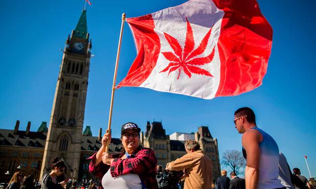 加拿大大麻合法化获参院批准立法 数月后正式生效