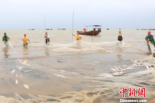 江西鄱阳湖结束春季禁渔期“开湖”