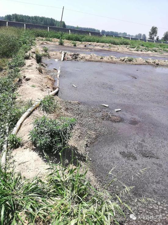 正阳雷寨乡一大型养猪场污水横流,村民投诉无