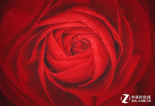 可微距可拼接 佳能50mm移轴镜头行走帝都 