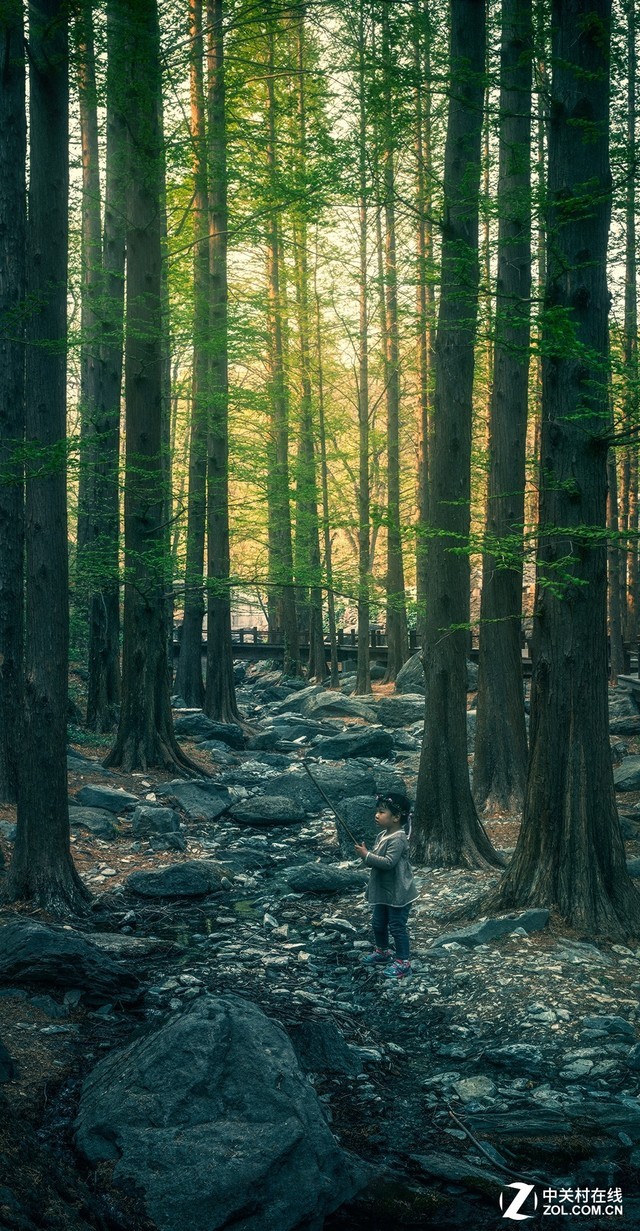 无畸变宽视野 佳能50mm移轴镜头体验拼接 