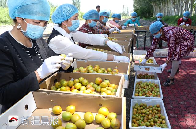 作为参会客商之一的新疆果业集团有限公司副总经理楼超英说,大家都