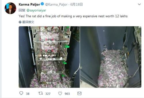 印度：ATM机内钞票全成碎片！元凶是老鼠(图)