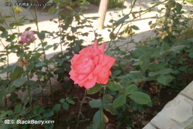 经典全键盘再添新功能 黑莓KEY2使用体验