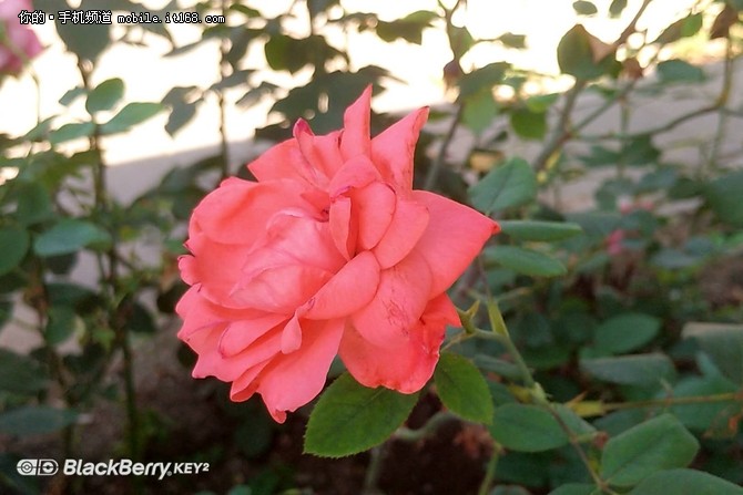 经典全键盘再添新功能 黑莓KEY2使用体验