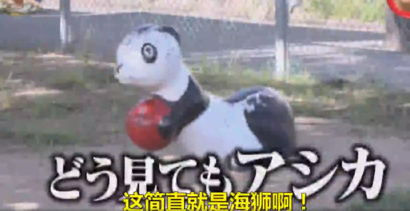 视频|熊猫滚滚，在日本公园又被黑出了新高度