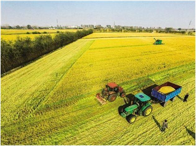 注意!2018年国家农民合作社示范社申报开始啦