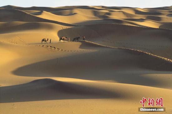 新疆借沙为“宝” 沙漠特色旅游成“热点”