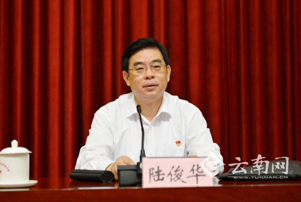 陆俊华出任国务院副秘书长，曾在国务院办公厅工作十余年