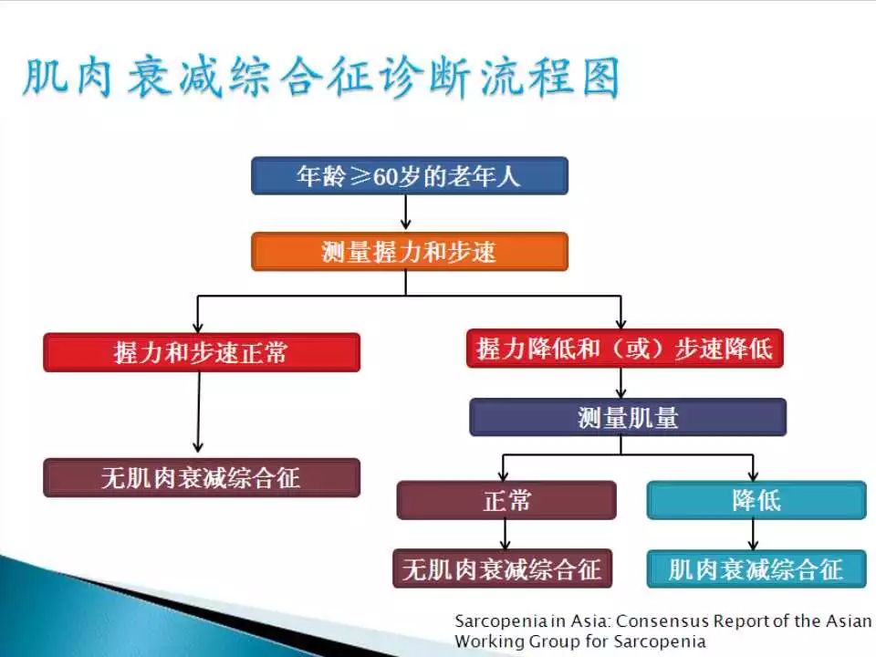 课件黄怡憬上海九院防治肌肉衰减综合征的吃与动