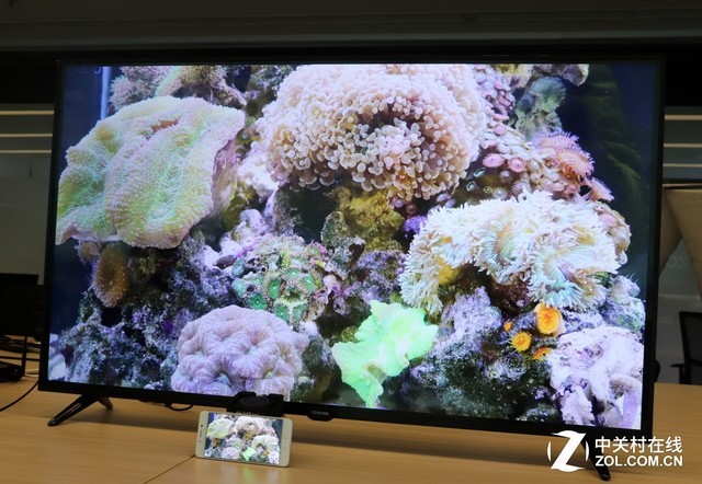 高效/稳定/安全 巴可无线演示系统评测