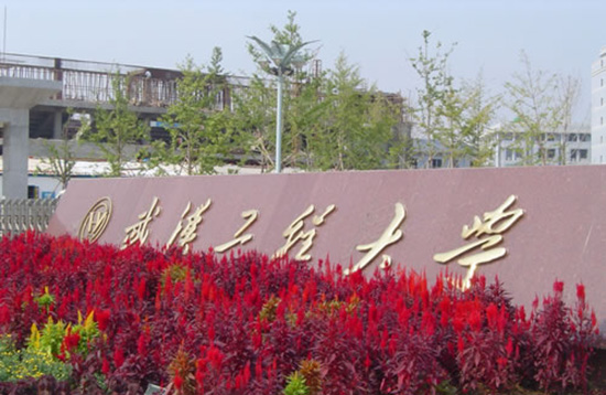 武汉工程大学硕考百人作弊案宣判，主犯获刑一年半