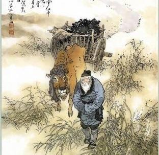 文章配图