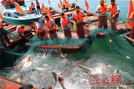 河里鱼虾游玩攻略,河水鱼虾