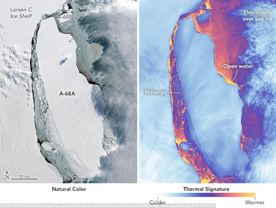 南极融冰加速？专家：海冰偏少+海浪冲击成融冰最大凶手