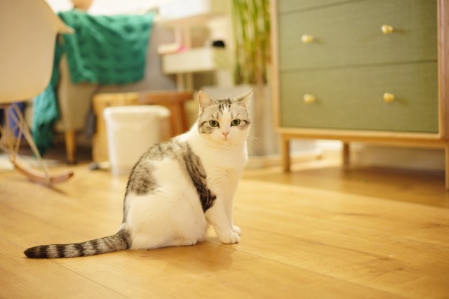 搜狐小明智能摄像头 搜狐小明智能摄像头