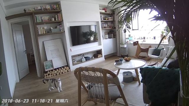 搜狐小明智能摄像头 搜狐小明智能摄像头