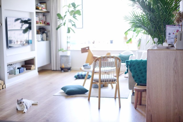 搜狐小明智能摄像头 搜狐小明智能摄像头