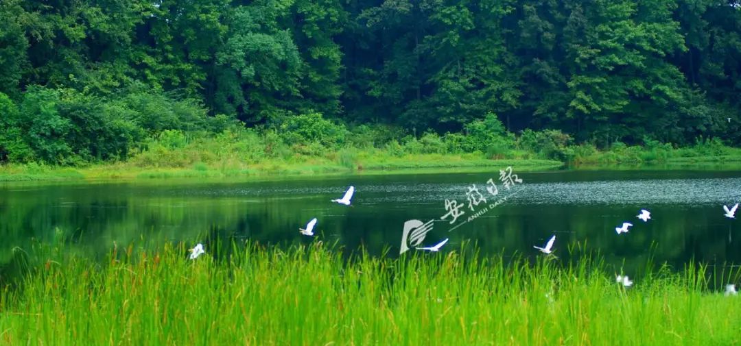 安徽:河长湖长考核实行生态环境损害责任终身