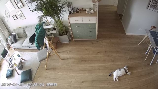 搜狐小明智能摄像头 搜狐小明智能摄像头