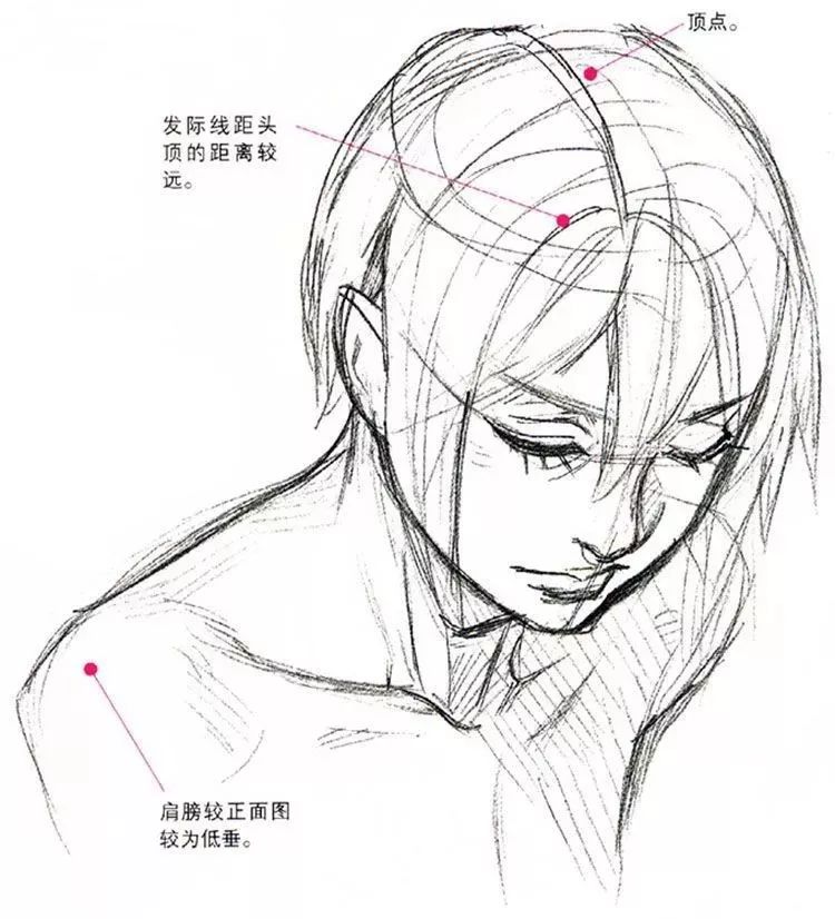 漫画技巧-仰视图和俯视图的画法