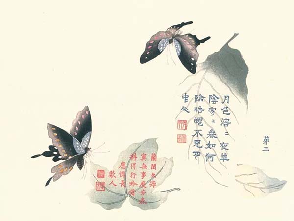 文章配图