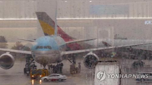 韩国金浦机场发生客机碰撞事故 部分机体受损(图)