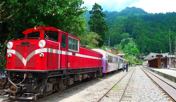 停驶检修4个月 台湾阿里山小火车本线6月27日起复驶