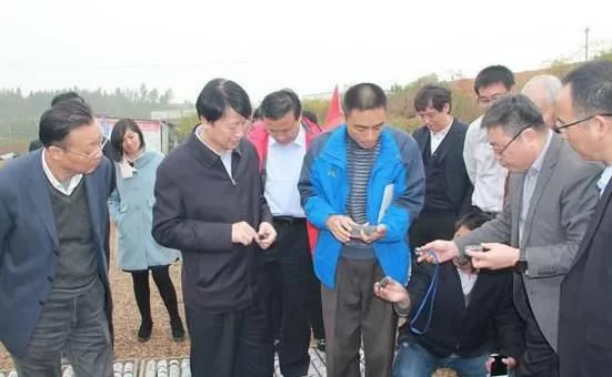 安徽近日发现的储量达5亿吨的页岩油,到底是啥