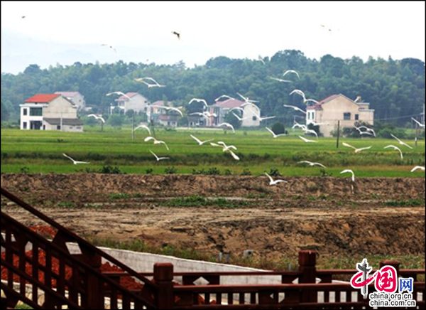 桃江gdp_桃江竹海图片(3)