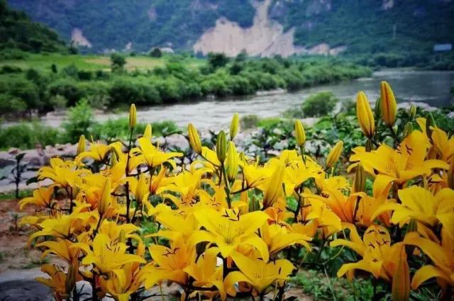 东北唯一敢与九寨沟媲美的地方，名字“土气”，颜值逆天！