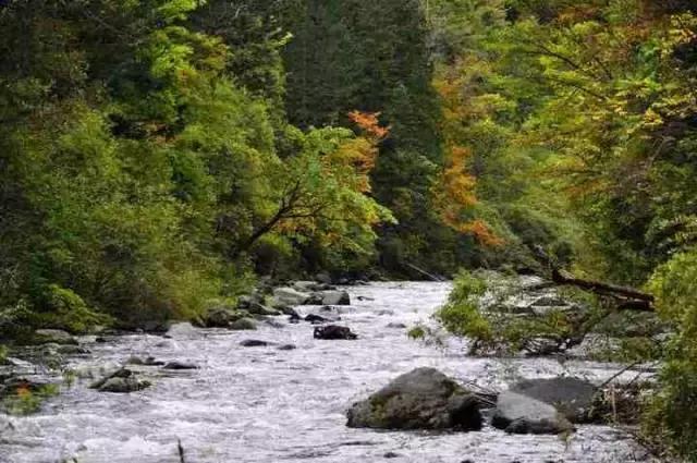 东北唯一敢与九寨沟媲美的地方，名字“土气”，颜值逆天！