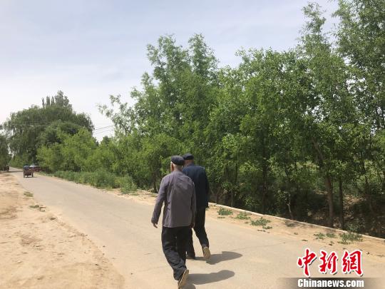 在民勤县的村庄里，成排的树木随处可见。　徐雪 摄