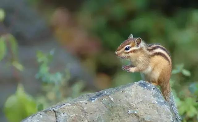 东北唯一敢与九寨沟媲美的地方，名字“土气”，颜值逆天！