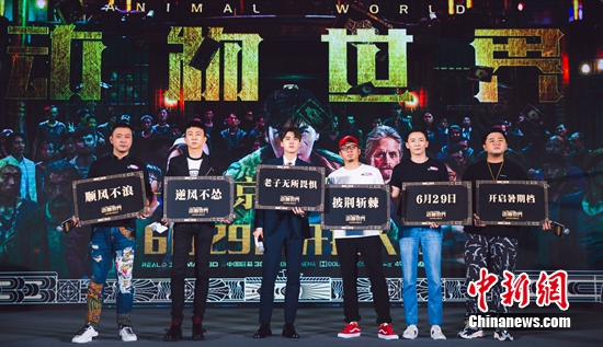 主创合影