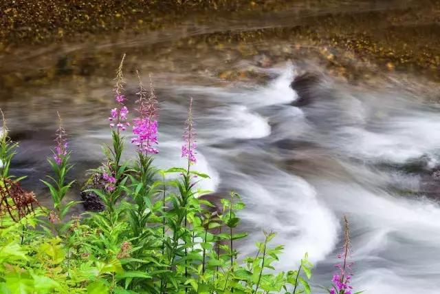 东北唯一敢与九寨沟媲美的地方，名字“土气”，颜值逆天！