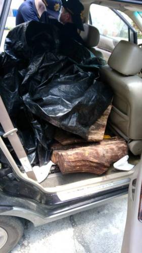 台湾警方捣毁盗伐林木集团 主犯以毒品控制多人