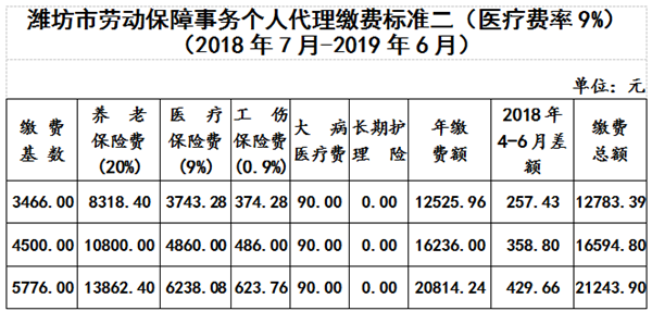潍坊2018年社保6月29日起缴纳 有五种缴费方