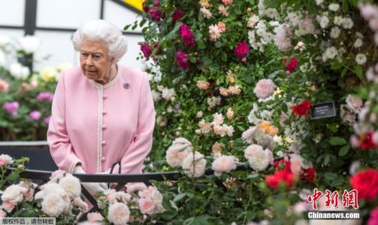 白金汉宫：英国女王身体不适 取消一次公众活动