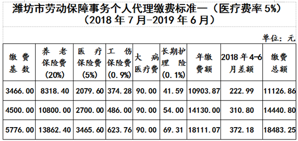 潍坊2018年社保6月29日起缴纳 有五种缴费方