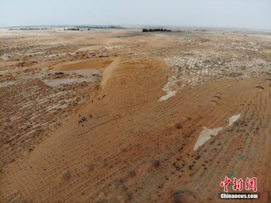海内外专家学者齐聚新疆 探讨干旱区生态恢复与荒漠化