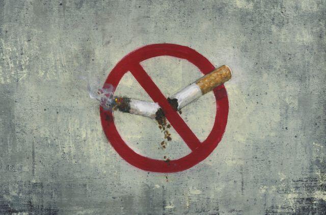 法国斯特拉斯堡市实施公园禁烟令 系全法首例