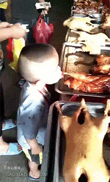 搞笑gif内涵段子:吃鸡游戏,到手的胜利被这样的猪队友