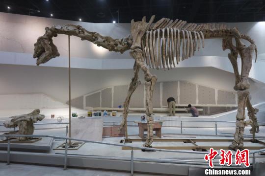 美国环基会与武汉市联合打造的自然博物馆投入试运行