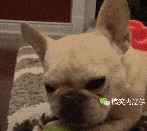 搞笑gif趣图 钢管舞其实是项很危险的职业,隔着屏幕都觉得痛