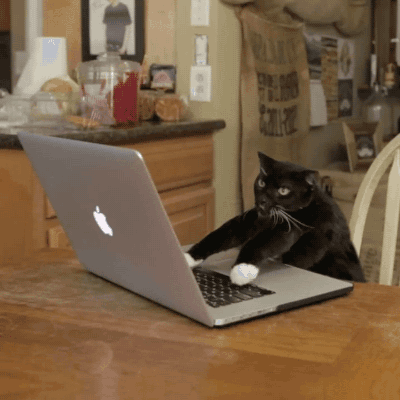 搞笑gif趣图幽默段子:你想象一下二十年后老师们相聚